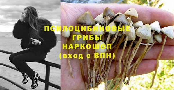 дмт Армянск