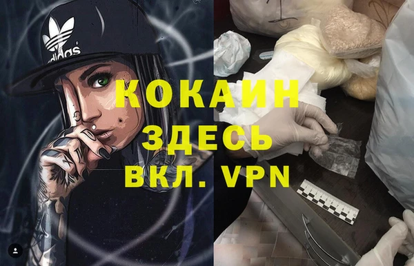 твердый Арсеньев