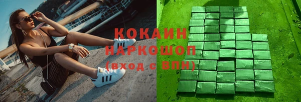 твердый Арсеньев